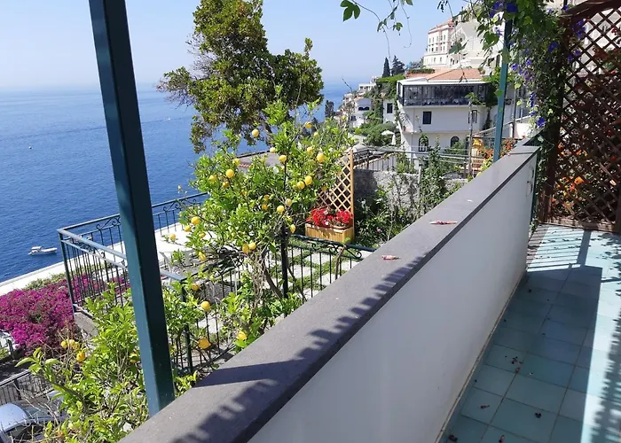 Amalfi Blue Flowers A